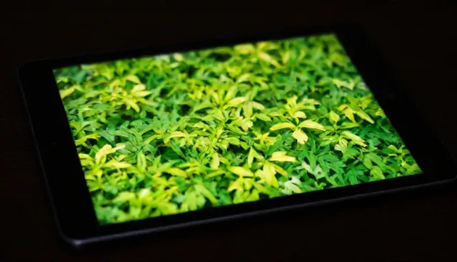 装卸搬运服务:提升库存管理效率的关键分析